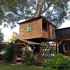  Oda ve Kahvaltı Daidala Life Türkiye